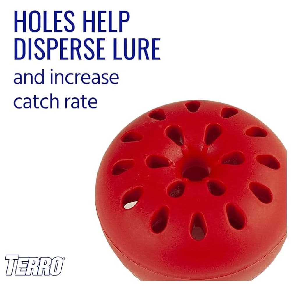 Terro - Fruit Fly Traps