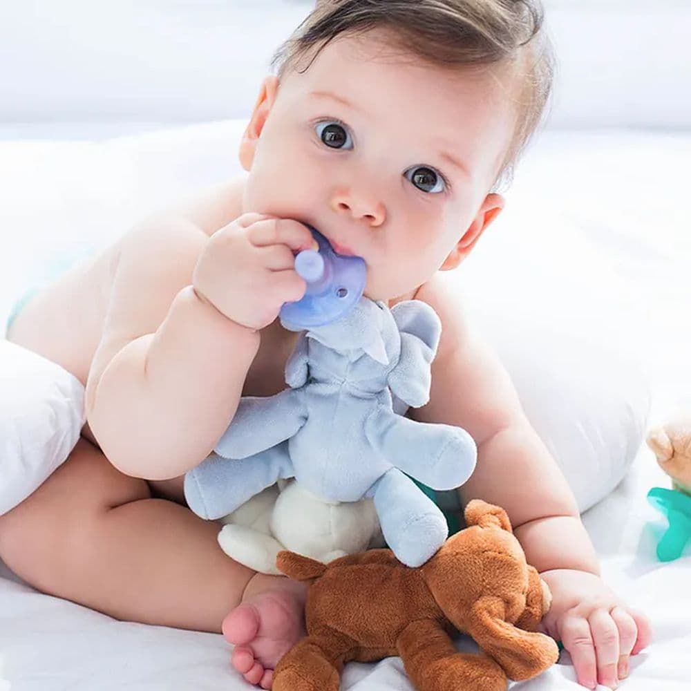 Minikoioi - Elephant Plush Toy With Soother + FREE ONE Silicone Teether