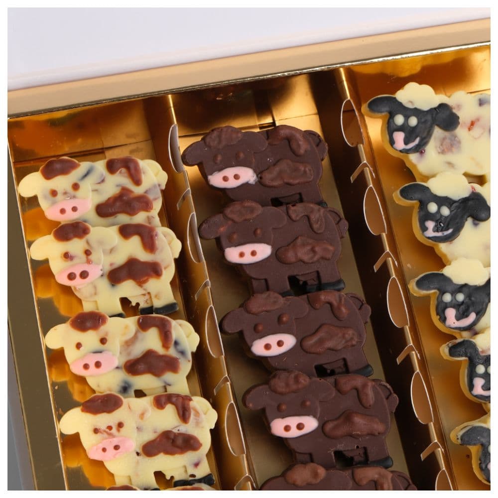 Co Chocolat - Qurbani Animals Chocolate In Traditional Flatbox - 20pcs