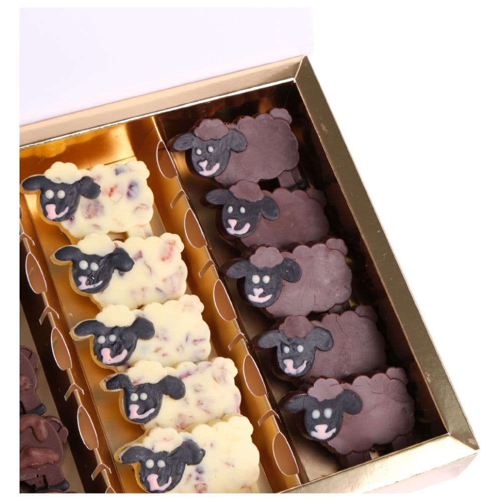 Co Chocolat - Qurbani Animals Chocolate In Traditional Flatbox - 20pcs